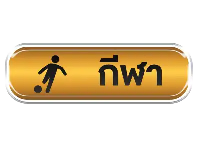 แบนเนอร์ 13